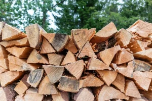 Через цю плутанину з дровами легко втратити гроші: що потрібно знати перед покупкою