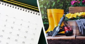 У ці дні серпня город краще не чіпати: місячний календар для садівників