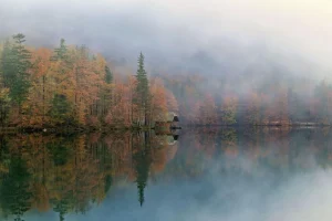 Ніч почне перемагати день: коли в Україні настане осіннє рівнодення